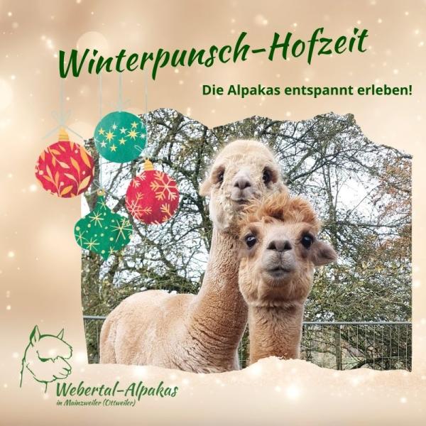 Winterpunsch-Hofzeit